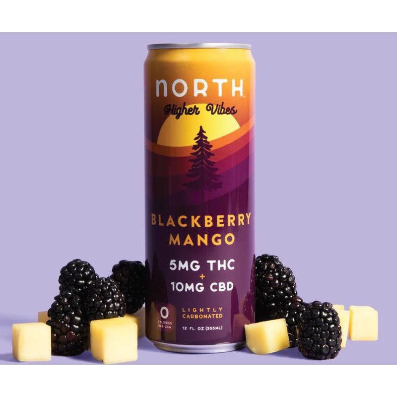NA THC Cocktail North Higher Vibes 4pk Blackberry Mango18662