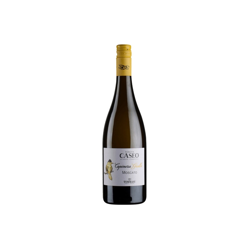 2018 Tommasi Tenuta Caseo ‘Capinera Gialla’ Moscato Provincia di Pavia IGT