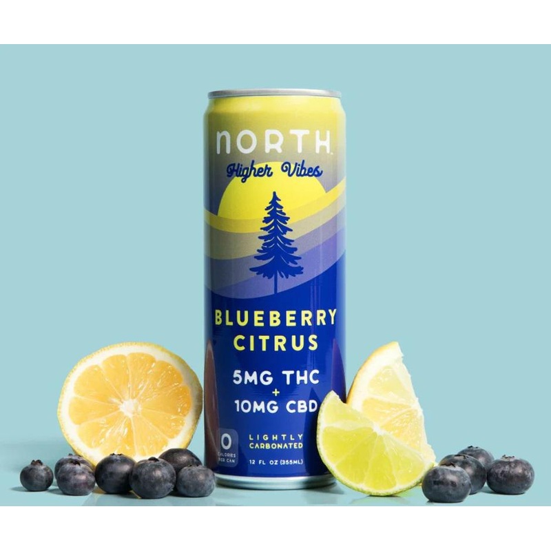 NA THC Cocktail North Higher Vibes 4pk Blueberry Citrus