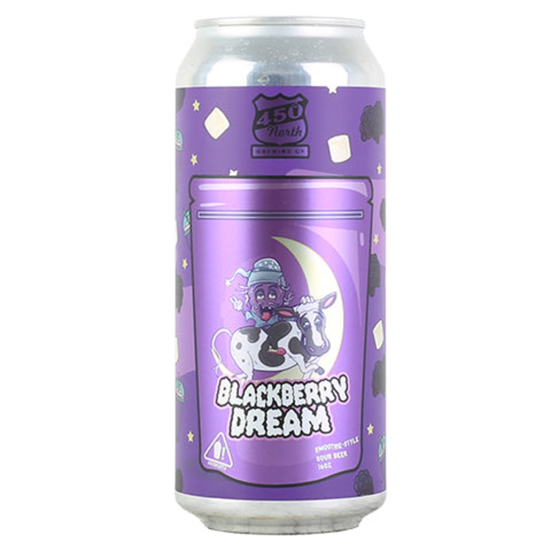 450 North Blackberry Dream Slushy XL Sour Ale 16OZ SINGLE CAN
