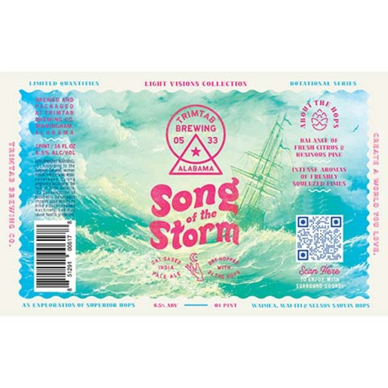 Light Visions Song of the Storm IPA 16OZ SINGLE CAN