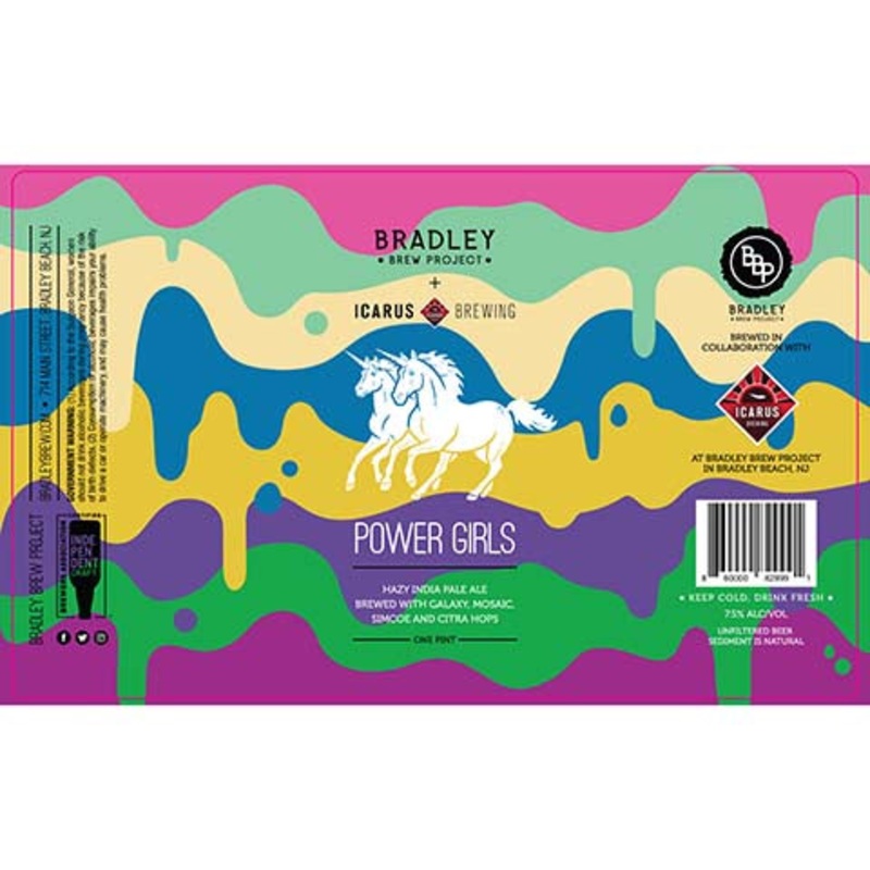 Bradley Brew Power Girls Hazy IPA 16OZ SINGLE CAN