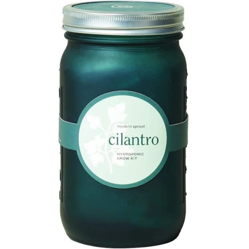 Garden Jar: Cilantro