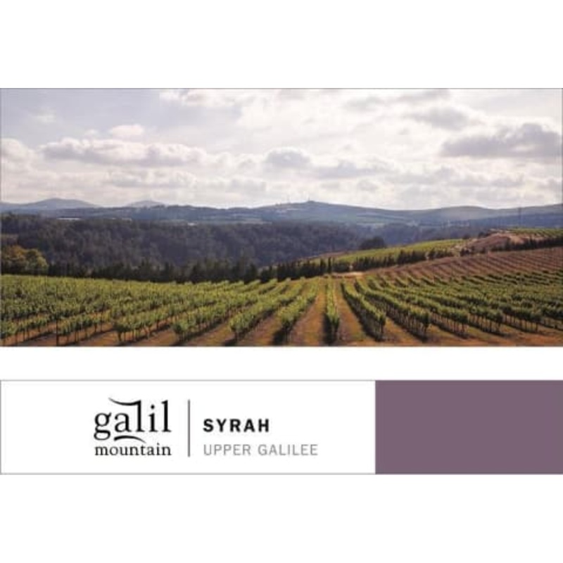 GALIL SYRAH 2021 750 mL