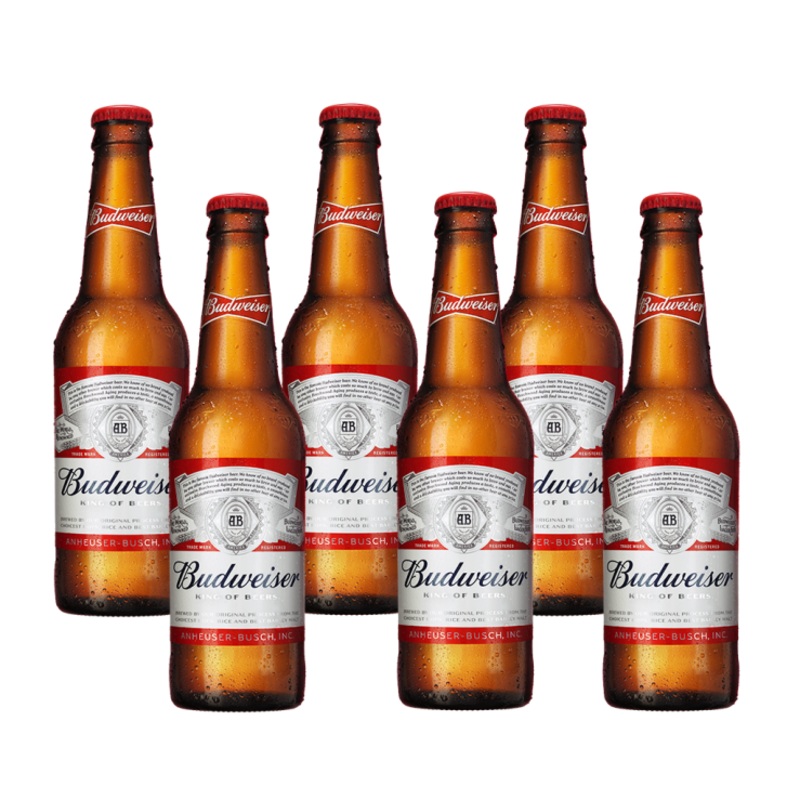 Budweiser Beer 330ml Bottle x 6