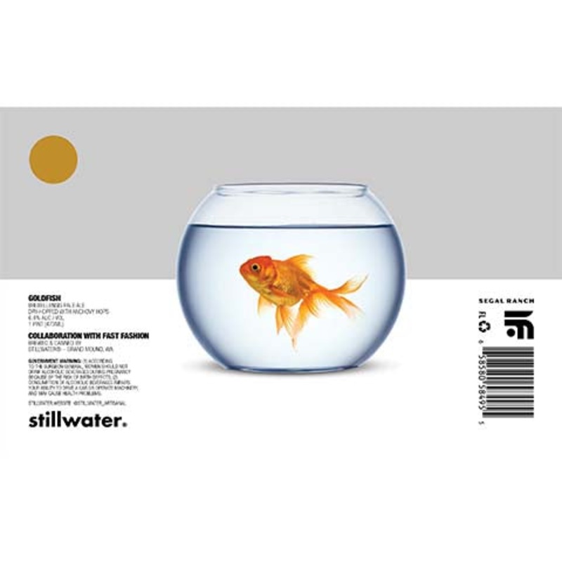 Stillwater Goldfish Bruxellensis Pale Ale 16OZ SINGLE CAN
