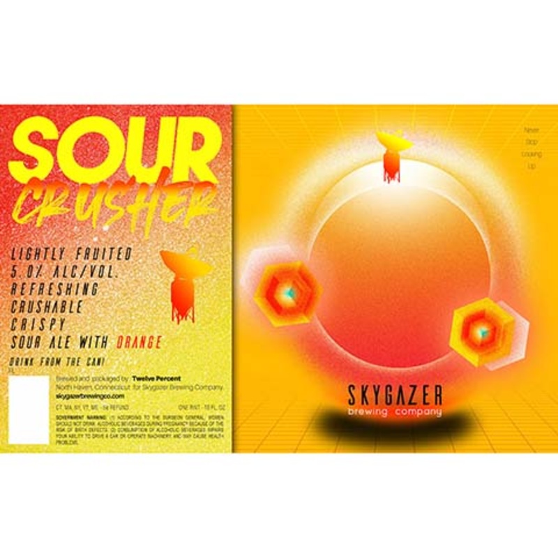 Skygazer Sour Crusher Orange Sour Ale 16OZ SINGLE CAN