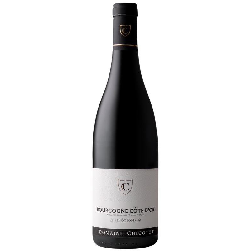 Georges Chicotot Bourgogne Cte d’Or