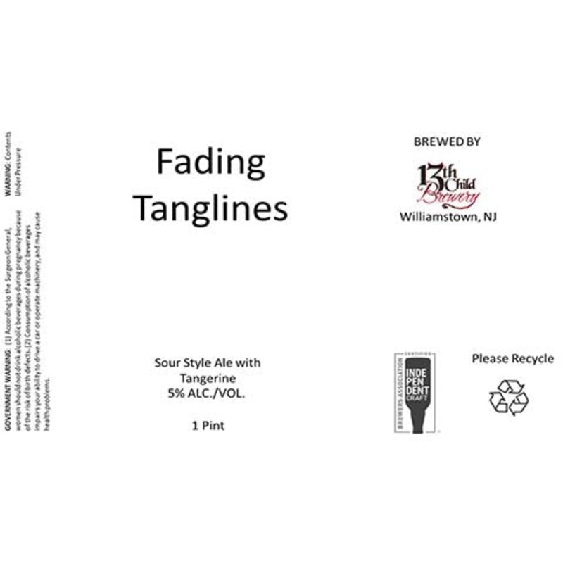 13th Child Fading Tanglines Sour Ale 16OZ SINGLE CAN