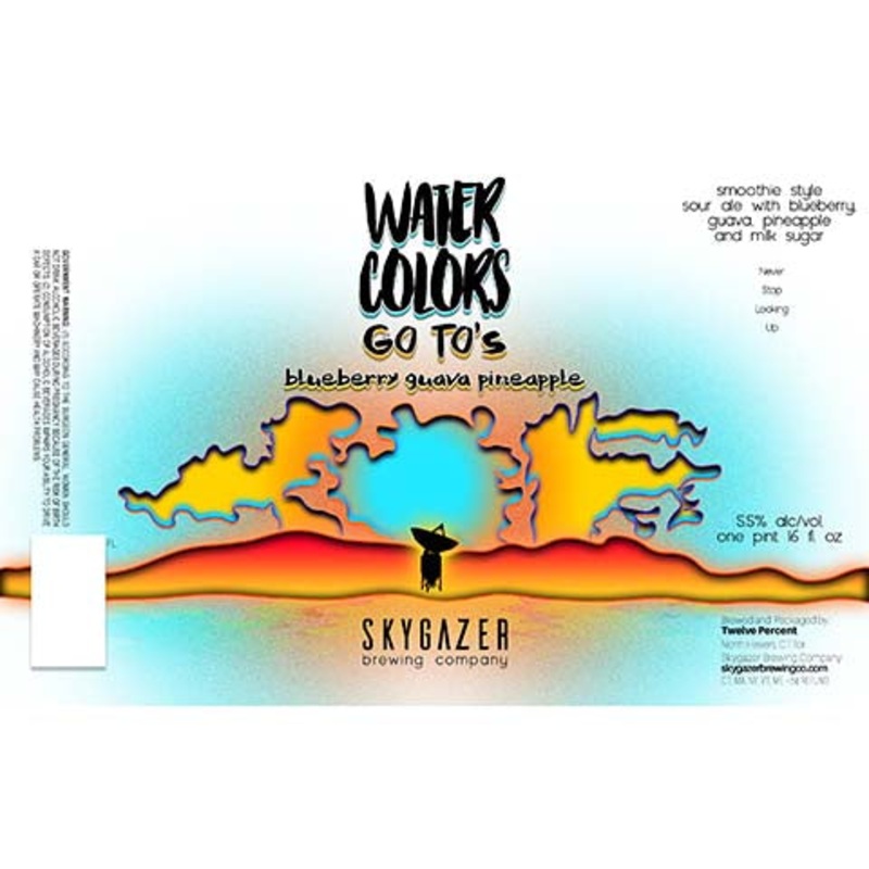 Skygazer Watercolors Go To’s Blueberry Guava Pineapple Smoothie Sour Ale 16OZ SINGLE CAN